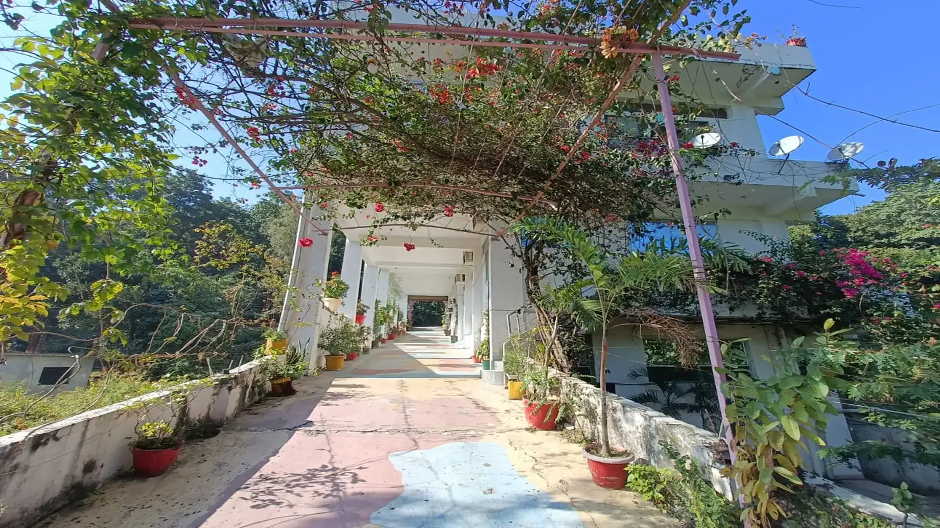 The flower-covered walkway along the rooms
